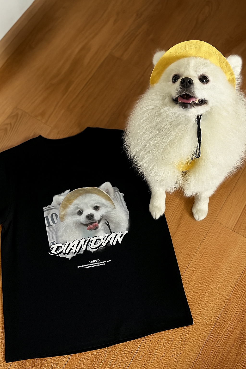 customised pet t-shirt