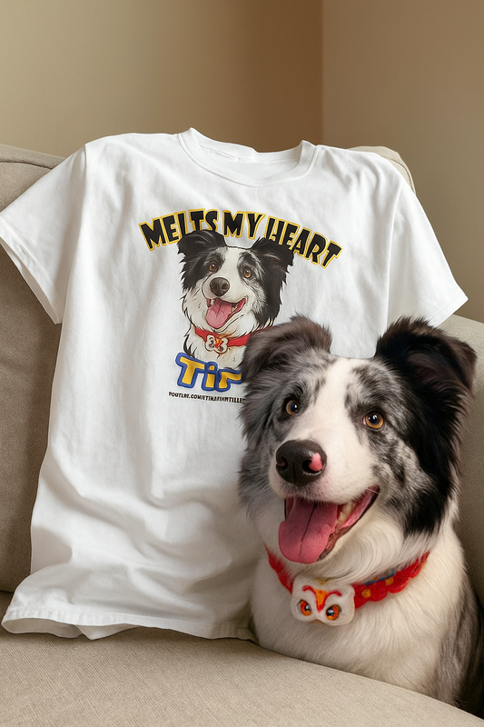 customised pet t-shirt