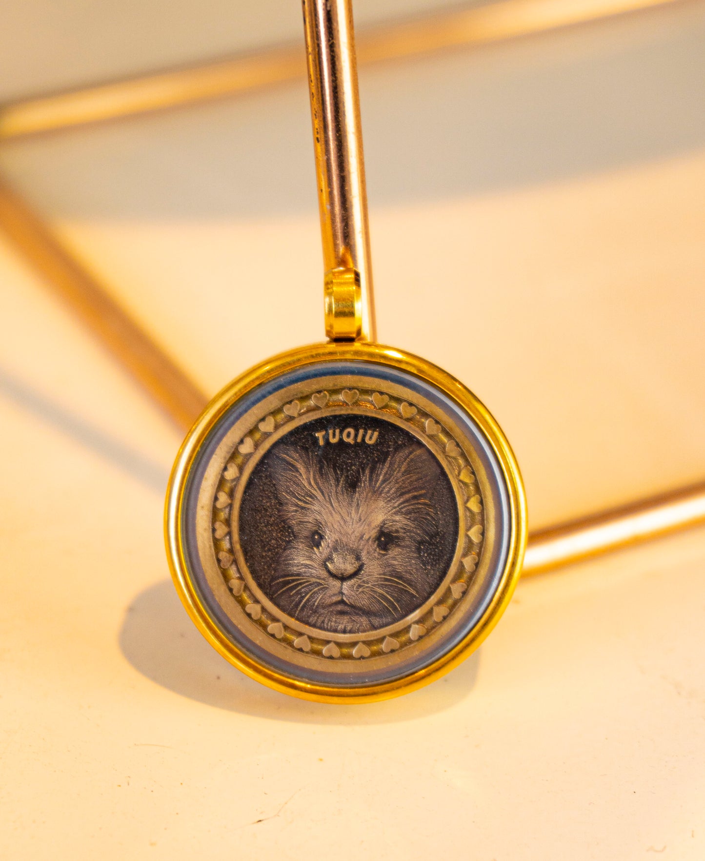 Custom Pet Portrait Coin Pendant – Handcrafted Silver or Brass Keepsake Necklace